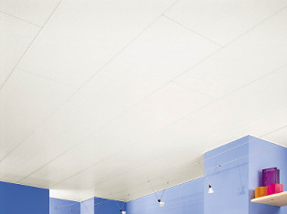 Ceiling Suppliers In South Africa Pvcsa